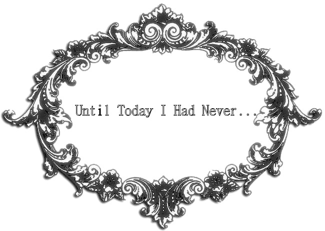 Until Today I Had Never...
