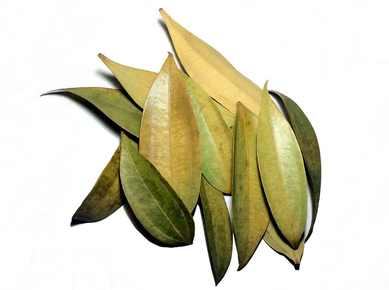 Cinnamon bisaya deadhungry