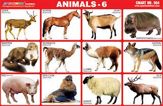 Animals Sticker Chart