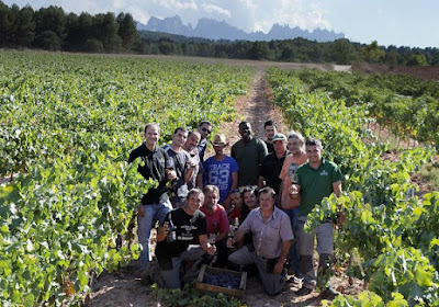 oller%2Bdel%2Bmas%2Bvi%2Bde%2Bfinca