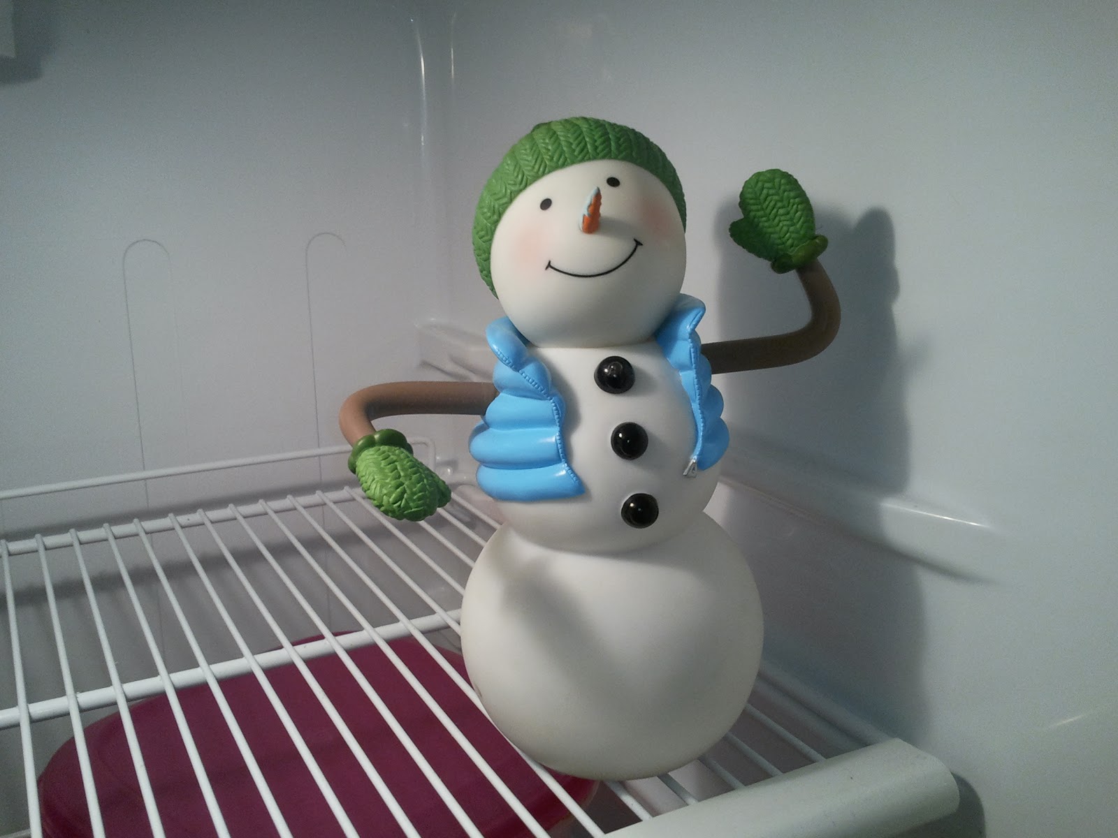 My 365 Project Day 153 Refrigerator Snowman