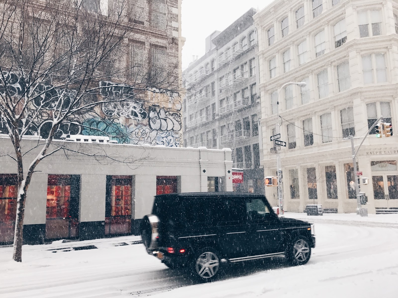 snowstorm in Soho, NY. whiskers & lions