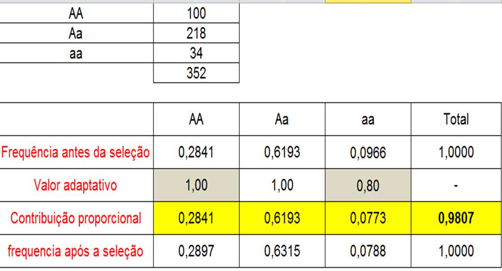 EVOLUÇÃO ON LINE LAZER