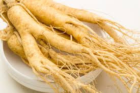 obat mual dari ginseng