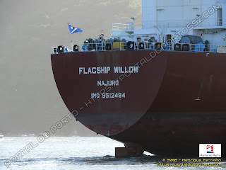 Flagship Willow