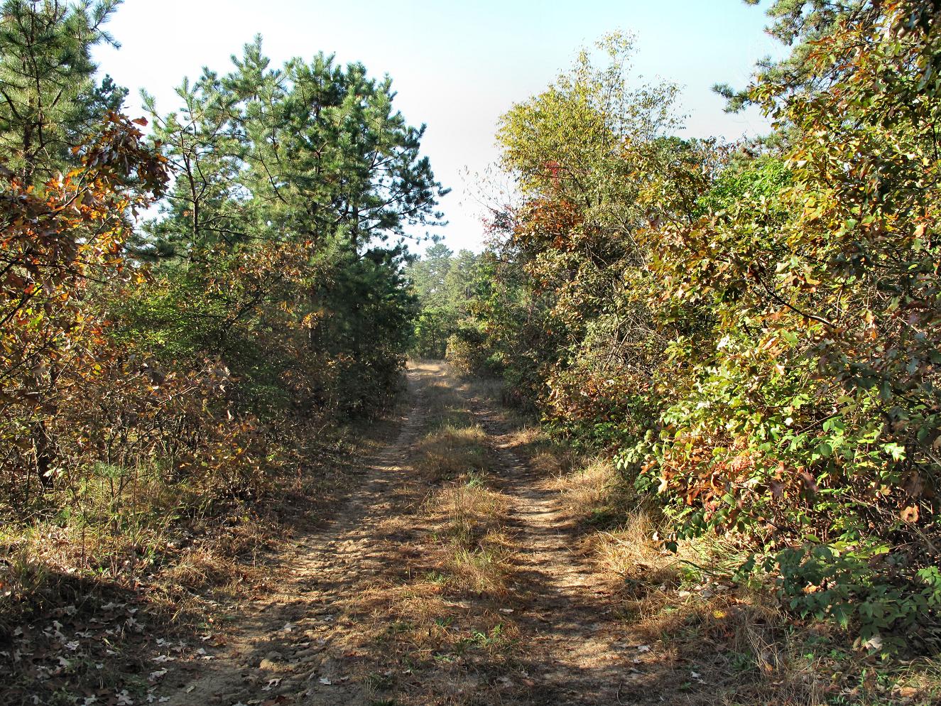 nooks-and-vales-blueberry-hill