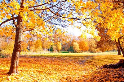 http://www.freepik.com/free-photo/autumn-scenery_1254316.htm#term=autumn&page=1&position=11