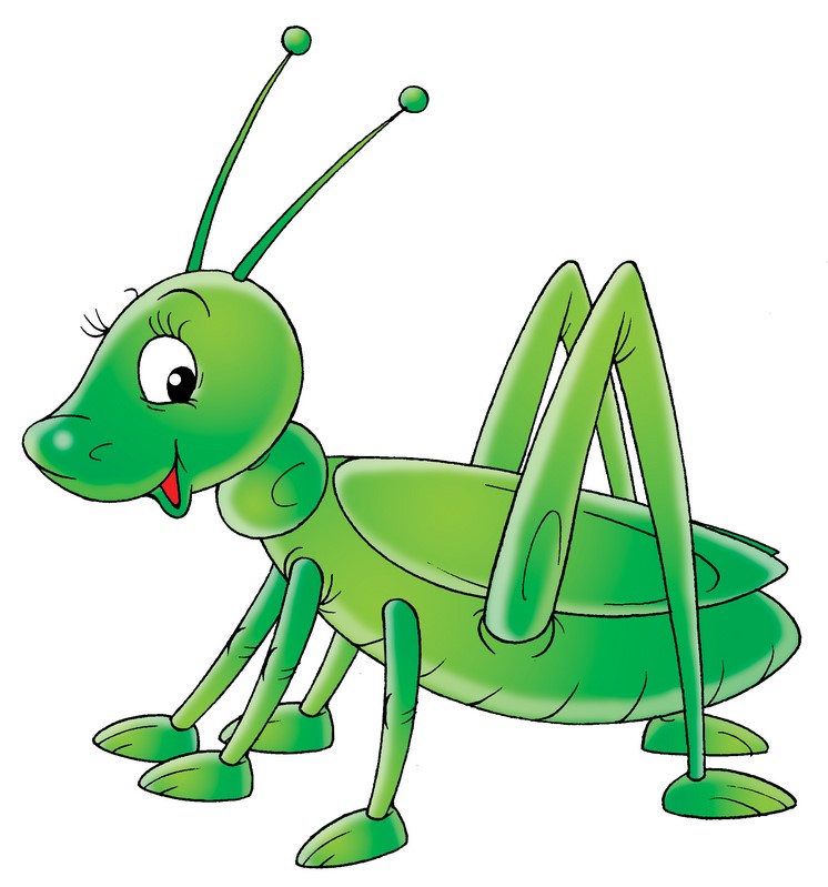 grasshoppers stretch plus work oxford