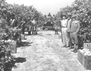 Redeeming Barth: Excavating Buried Shadow