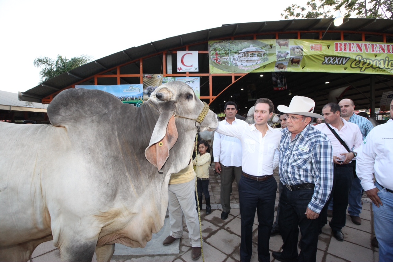 Informativo Chiapas Recorre MVC exposición ganadera de la Feria Chiapas