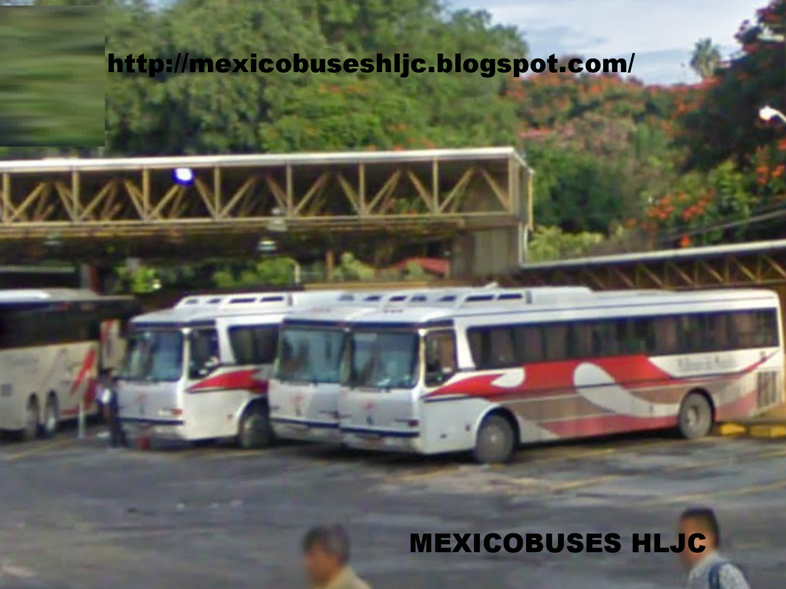 Pullman casino de la selva