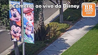 câmeras ao vivo da disney