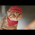 Pizza Hut Pizza Cat! Is Back In New Commercial! Become A Pizza Hut Nyanbassador! (Video)