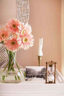 Aster Garbera Aster Garbera