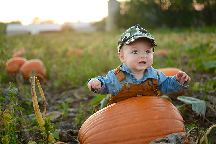 Fall, Pumpkin Patch | My Darling Days Fall, Pumpkin Patch | My Darling Days