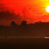 Beautiful Sunrise Around Us