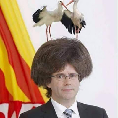Carlos Puchdemón, niu, sigüeñes Carlos Puchdemón, niu, sigüeñes