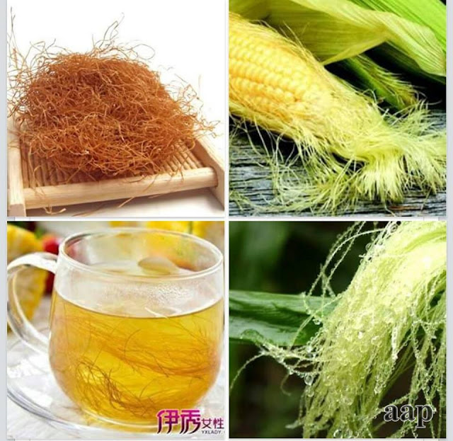 Image result for info tentang Bulu Jagung (Chinese Medicine)