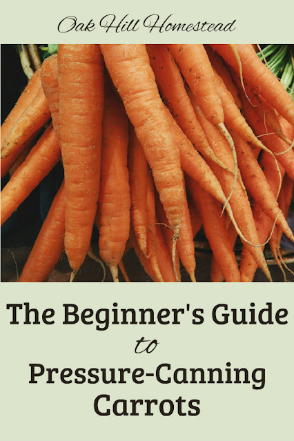 The Beginner's Guide to Canning Carrots, a step-by-step tutorial