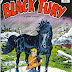 Black Fury #16 - Steve Ditko art