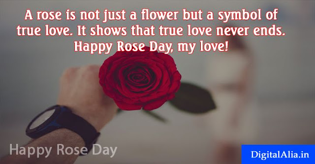 Rose Day Images For Boyfriend rose day images, rose day greeting cards, rose day wallpaper, rose day hd photos, rose day images download, rose day images for girlfriend, rose day quotes with images, rose day images for boyfriend, rose day images for wife, rose day images for husband, valentine week spacial images for crush