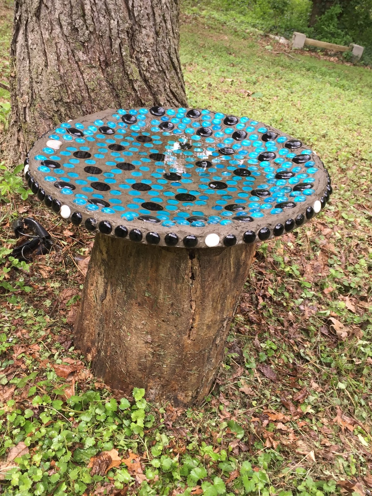 Monsoon Rains Old Satellite Dish = New Bird Bath