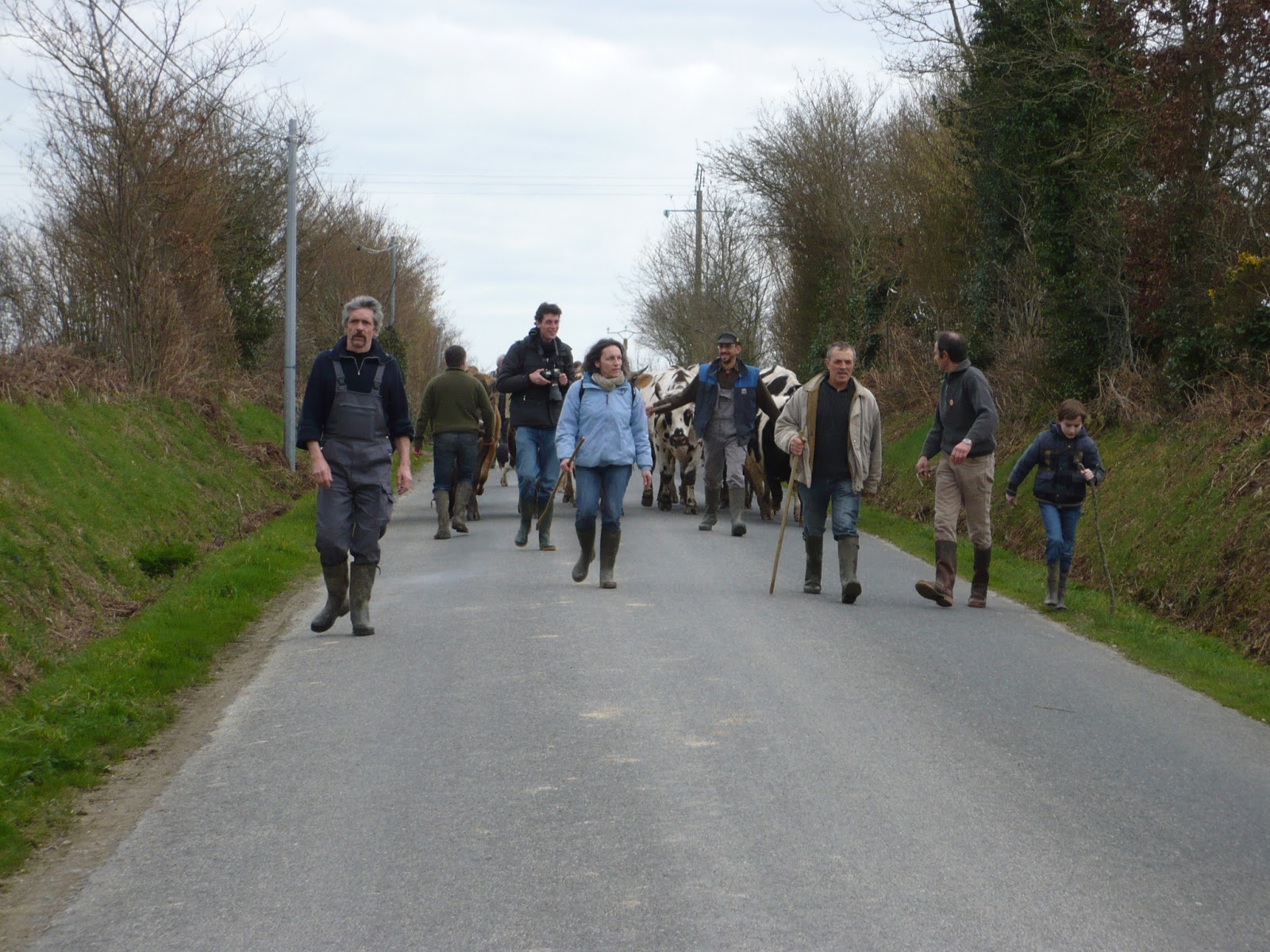Ferme De Bellevue Notre Dame Des Landes Notre Dame des Landes, ferme de Bellevue : une transhumance réussie