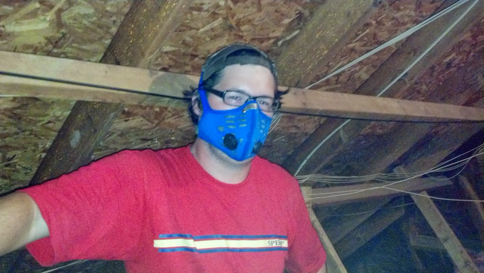 Bat removal in New Orleans Bat Guano "What does bat poop look like