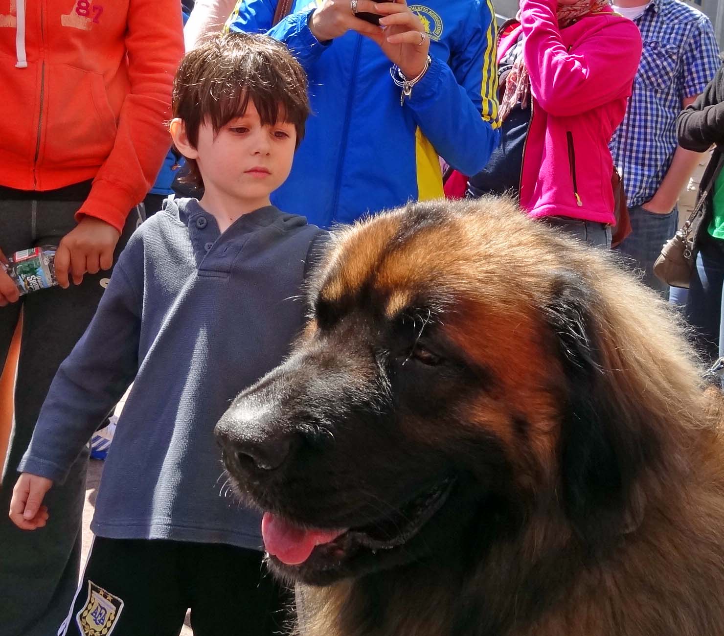 Joe's Retirement Blog Around the Back Bay, Boston, Massachusetts, USA