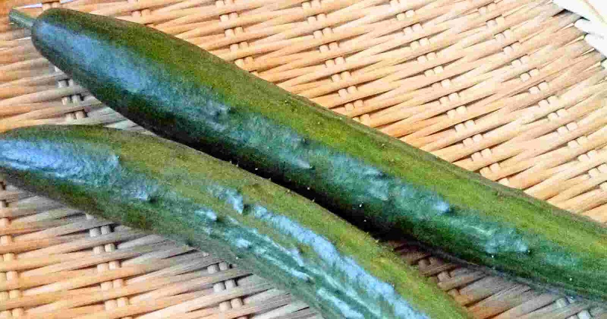 Recipes for Tom Kyuri Japanese cucumber