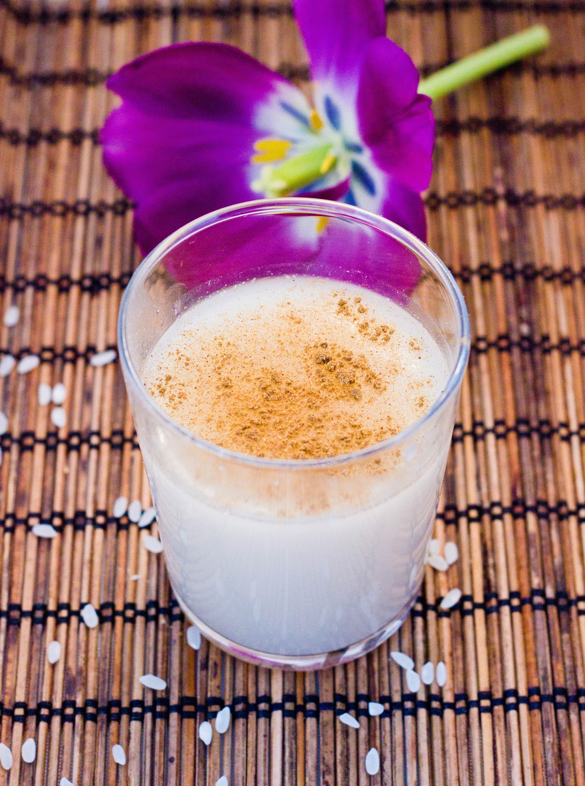 A Scientist's Love Affair with Food Rice Milk/Horchata