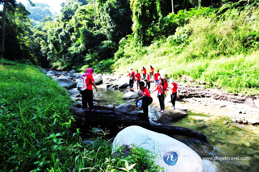 Taman Negeri Royal Belum Pelancongan Eko Malaysia | Hutan Hujan ...