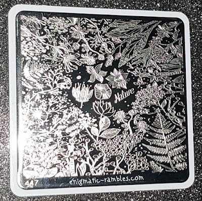 Stamping Plate MoYou Vintage Style 447 Stamping-Plate-MoYou-Vintage-Style-447