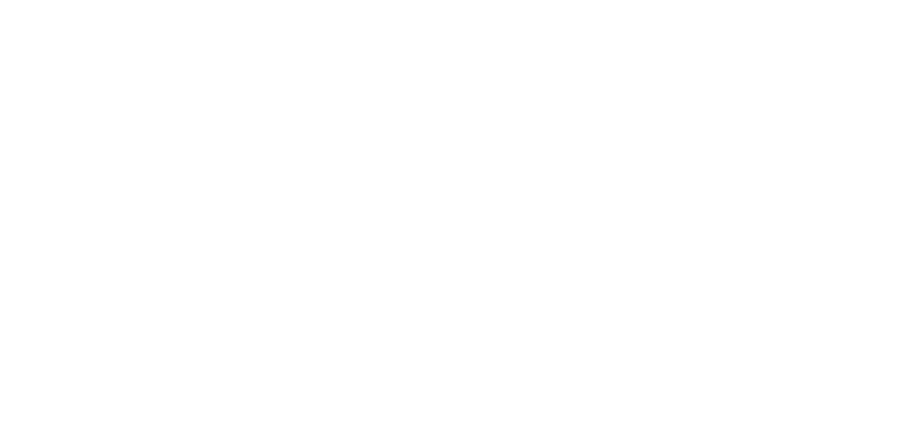 La Diluvio / Revista