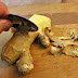 13 Things That Will Happen After Eating Ginger Daily