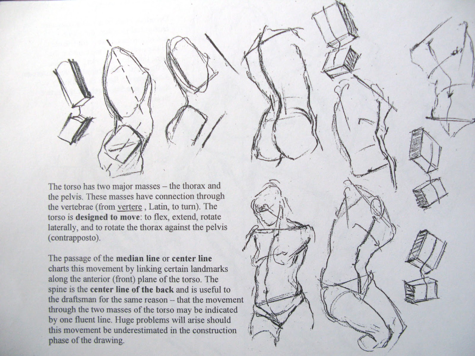 classical figure drawing