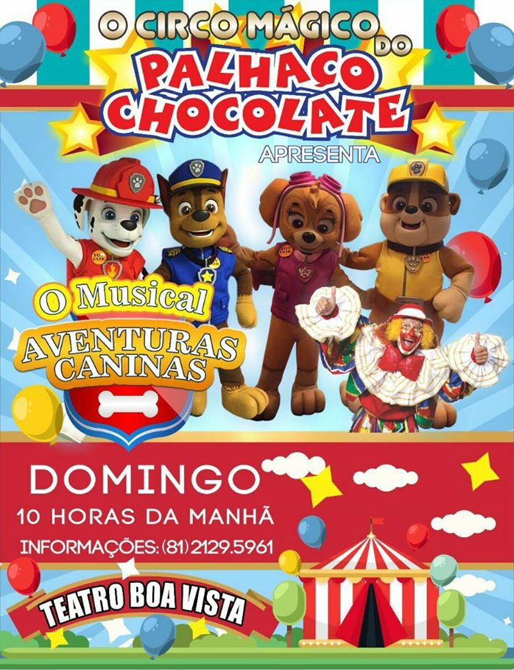 programação infantil em recife casinha da cys