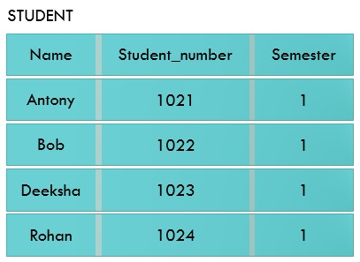 DBMS: Schema, Subschema and Instance