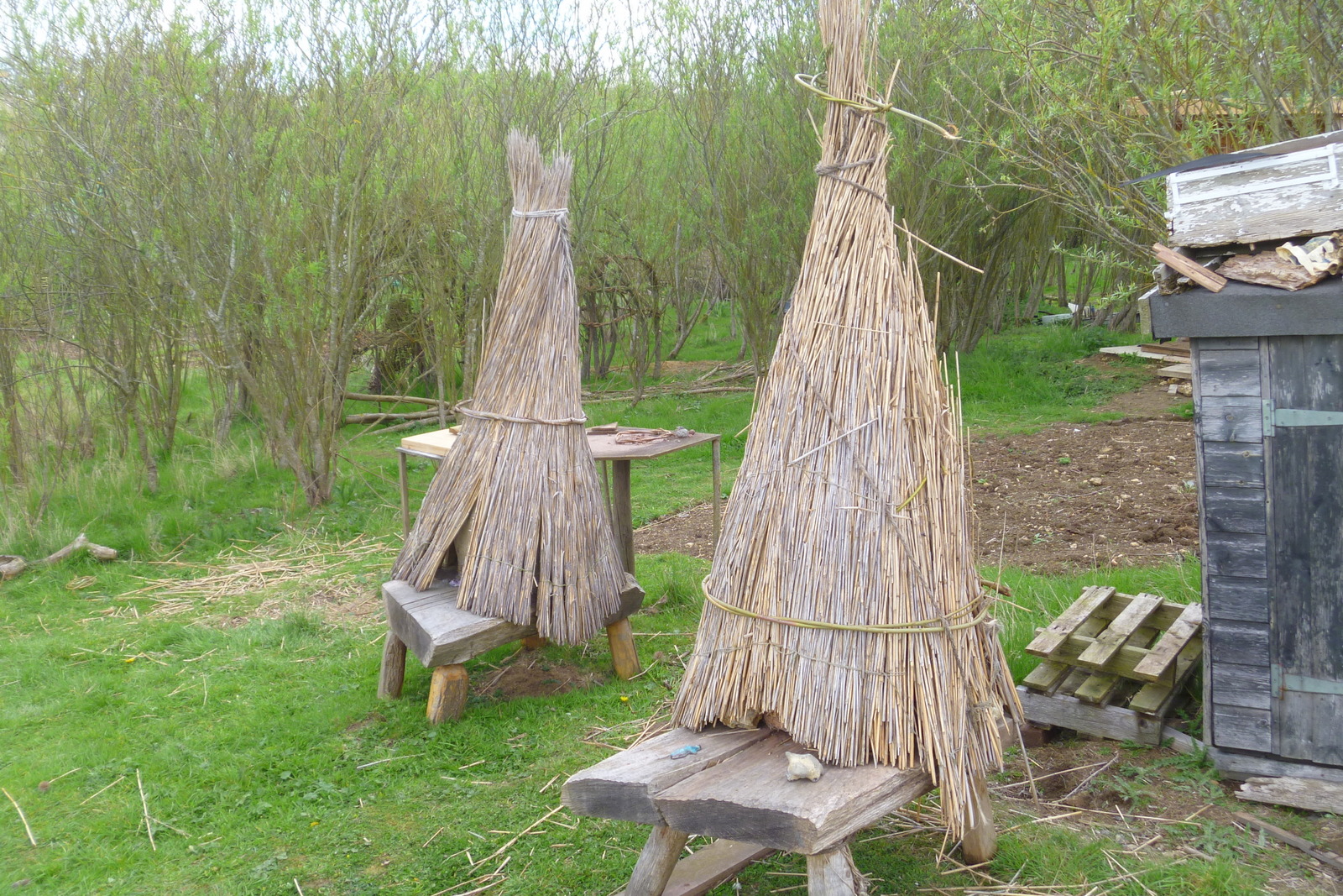 Yatton Area Bee Project - YABeeP: Skep Making Course