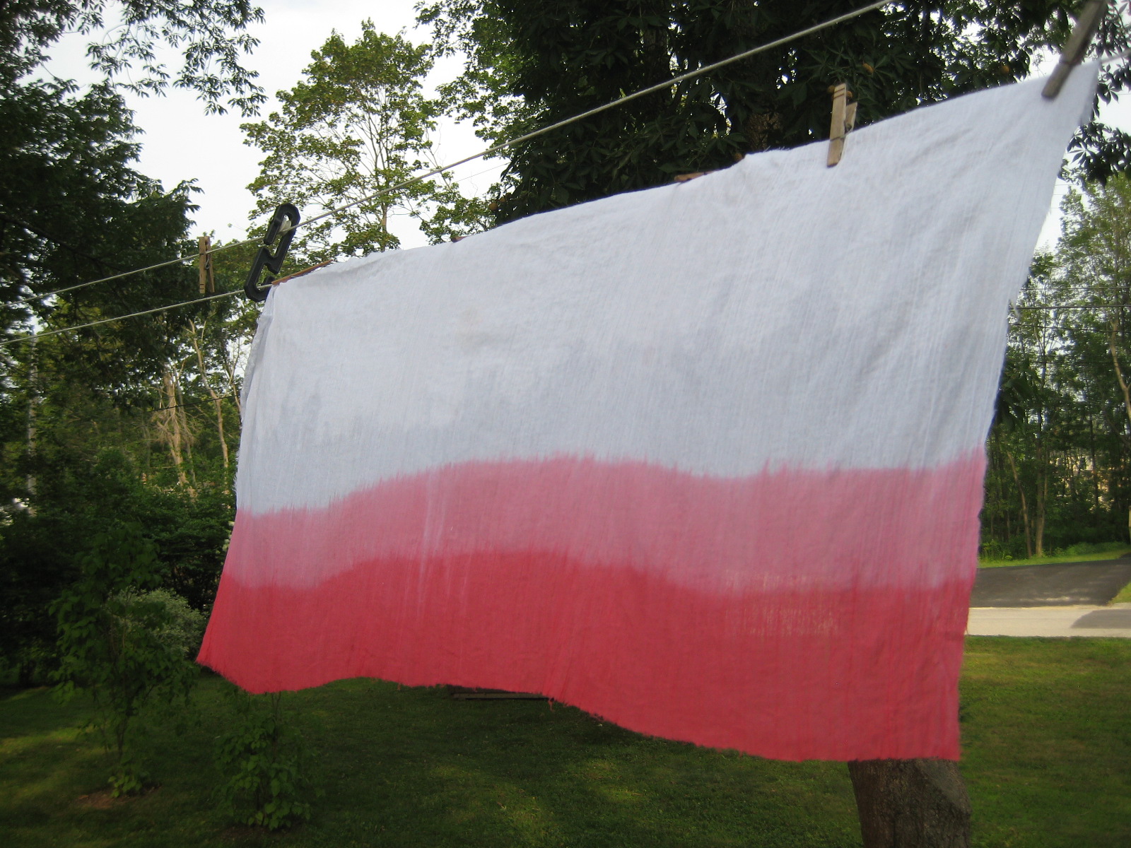 kate makes a...adventure in dipdyeing fabric