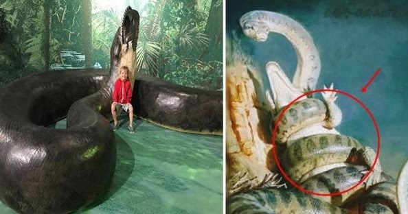 Sejarah Ular Terbesar adalah Ular Titan Python Yang Telah Punah | Kyle ...