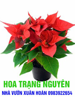 0983922654%252C%2B%2BCHUY%25C3%258AN%2BCUNG%2BC%25E1%25BA%25A4P%2BV%25C3%2580%2BB%25C3%2581N%2BC%25C3%2582Y%2BCA%25CC%2589NH%2B%2BC%25C3%2582Y%2BHOA%2BM%25C3%2594%25CC%25A3C%252C%2BC%25C3%2582Y%2BHOA%2BDA%25CC%25A3%2BH%25C6%25A0%25CC%25A3P%252C%2BHOA%2BMO%25CC%2581NG%2BR%25C3%2594%25CC%2580NG%252C%2BHOA%2BBA%25CC%25A3CH%2BTHI%25C3%258AN%2BH%25C6%25AF%25C6%25A0NG%252C%2BHA%25CC%2580M%2BTI%25C3%258A%25CC%2581U%252C%2BHOA%2BTRA%25CC%2580%25E2%2580%25A6%2B%2B%252830%2529.jpg