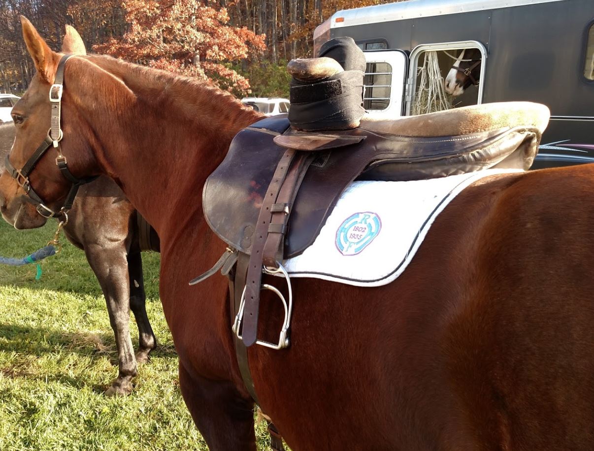 MEC&F Expert Engineers OSHA cited Rocky Fork Hunt and Country Club