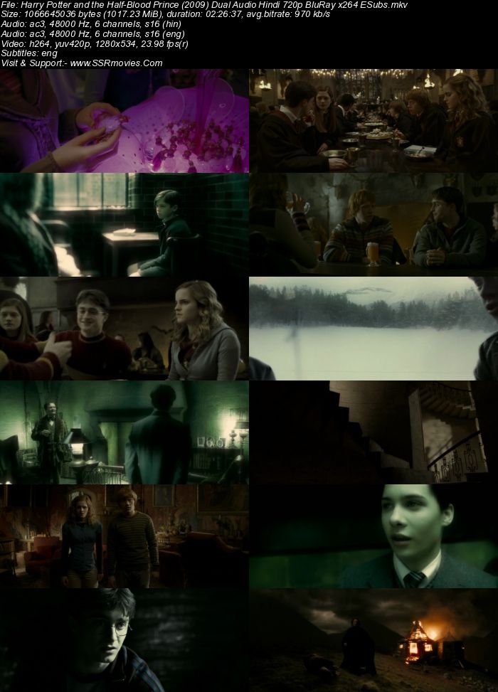 Harry Potter 6 (2009) Dual Audio Hindi 480p BluRay x264 450MB ESubs Movie Download