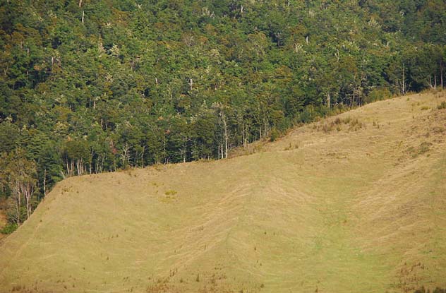 most interesting environmental issues most interesting environmental issues