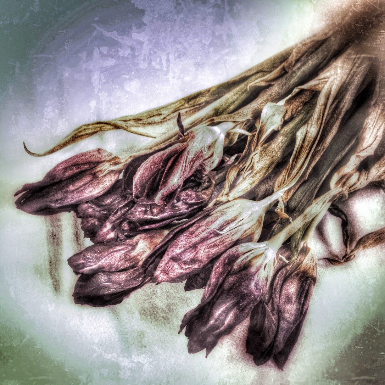 Zieht Sich Stock Photos Zieht Sich Stock Images Page 3 Alamy