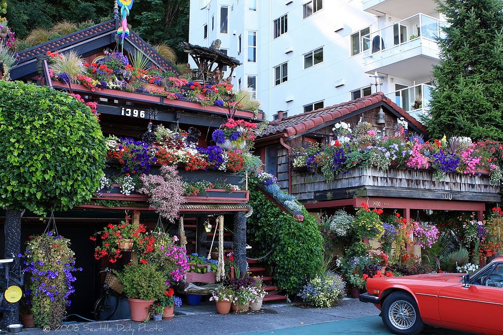 Fabulous Flower House