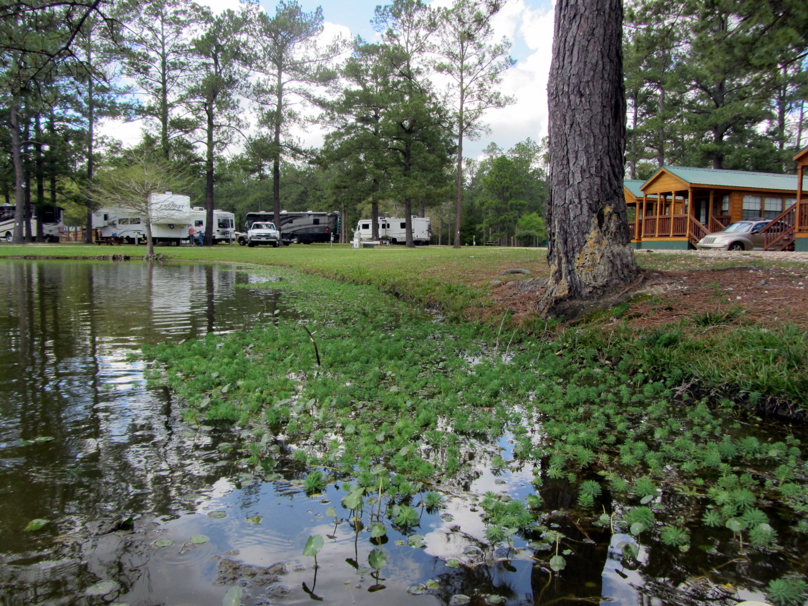 Moeller Travels Louisiana, Abita Springs Mar 5 19