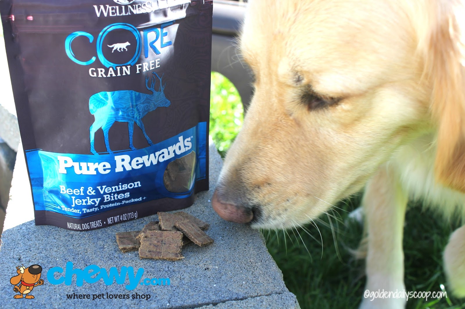 wellness core pure rewards soft beef jerky bites