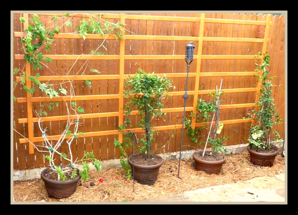 Crafty Moose gone wild!